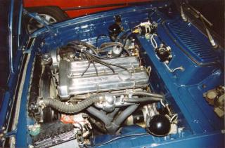 Blungby.jpg (18602 bytes)