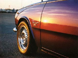 rwann11.JPG (14867 bytes)