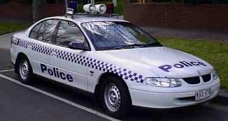 police.jpg (12701 bytes)