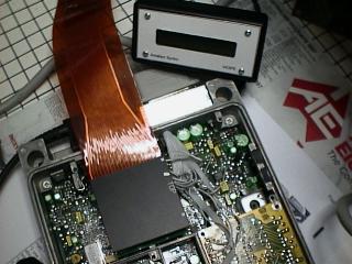 syntrx-2.JPG (19599 bytes)