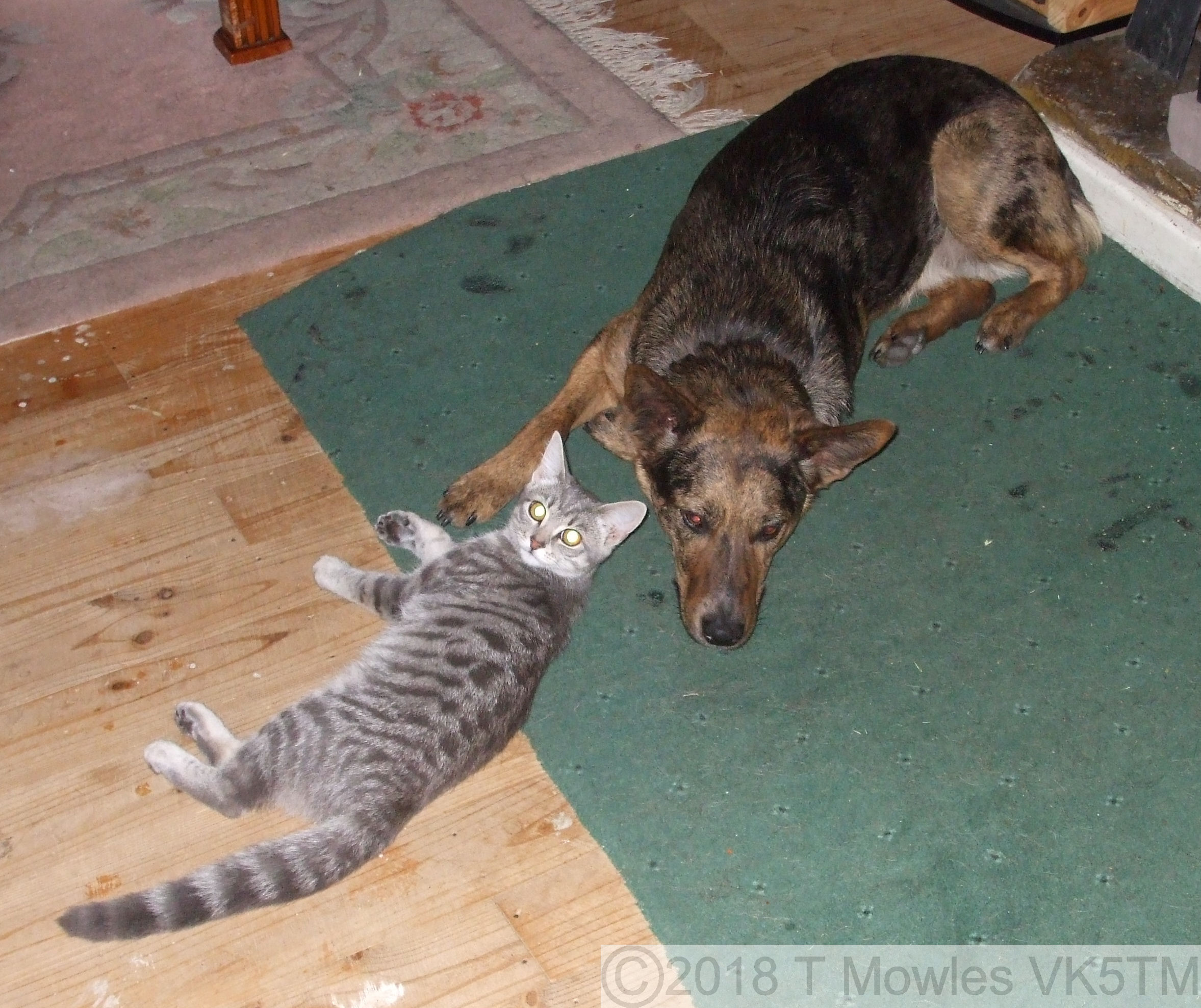 Banjo and Storm together