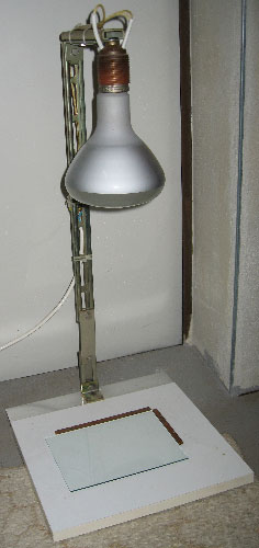 Nitraphotlampe